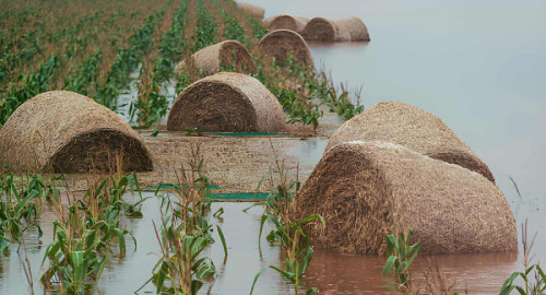 L'agricoltura del Nord travolta dal maltempo: milioni di danni per le grandinate eccezionali